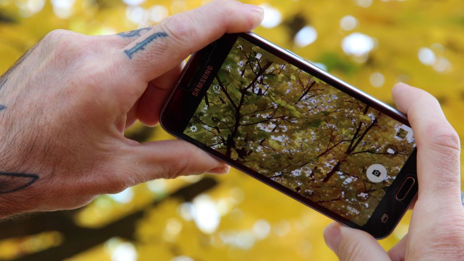 Photography online course: How to take your photo like a professional - Image 2